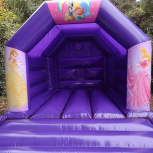 Disney Princess Bouncy Castle